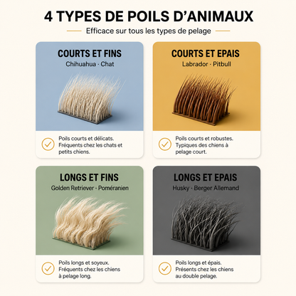 FurSwipe™ – Retire les poils en un geste.
